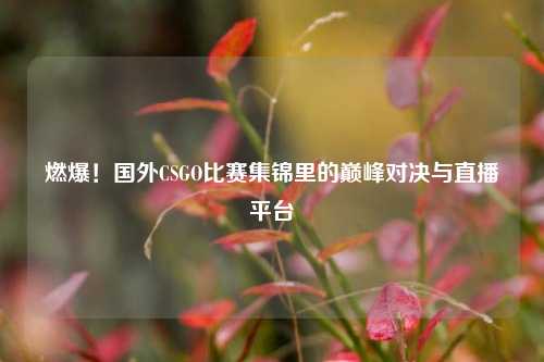 燃爆！国外CSGO比赛集锦里的巅峰对决与直播平台