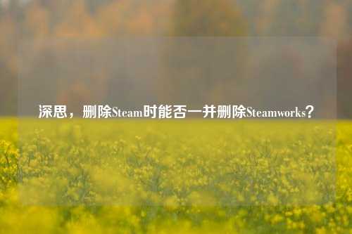 深思,删除Steam时能否一并删除Steamworks?
