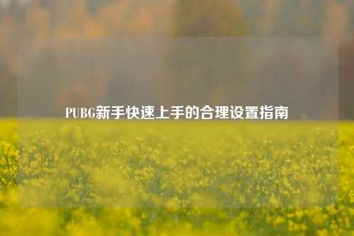 PUBG新手快速上手的合理设置指南
