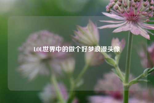 LOL世界中的做个好梦浪漫头像