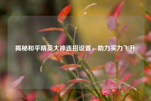 揭秘和平精英大神连招设置,助力实力飞升