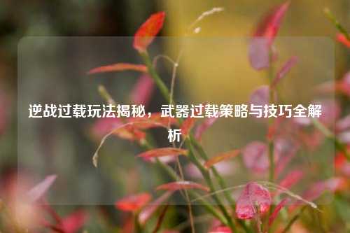 逆战过载玩法揭秘,武器过载策略与技巧全解析