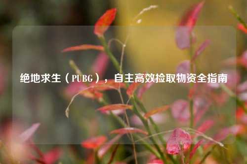 绝地求生(PUBG),自主高效捡取物资全指南