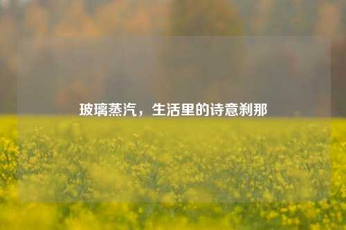 玻璃蒸汽,生活里的诗意刹那
