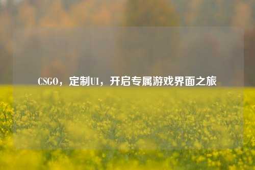 CSGO,定制UI,开启专属游戏界面之旅