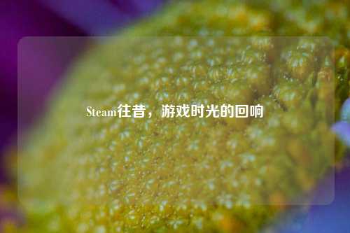Steam往昔，游戏时光的回响