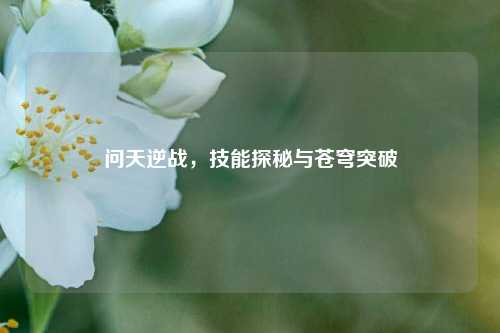 问天逆战,技能探秘与苍穹突破