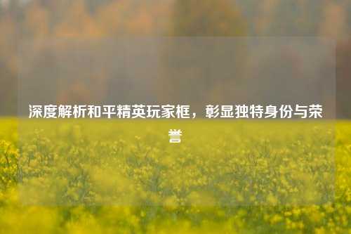 深度解析和平精英玩家框,彰显独特身份与荣誉