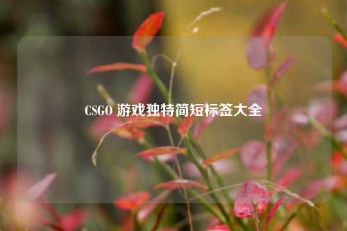 CSGO 游戏独特简短标签大全