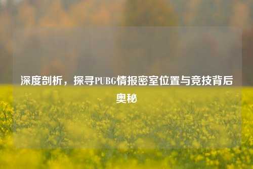 深度剖析，探寻PUBG情报密室位置与竞技背后奥秘