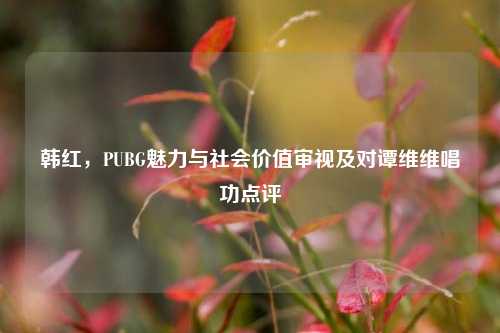 韩红,PUBG魅力与社会价值审视及对谭维维唱功点评