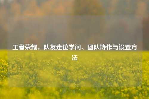 王者荣耀,队友走位学问、团队协作与设置方法