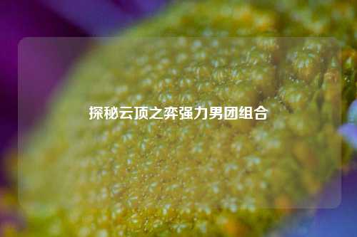 探秘云顶之弈强力男团组合
