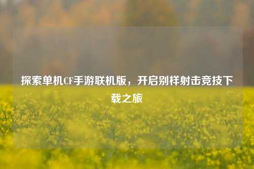 探索单机CF手游联机版,开启别样射击竞技下载之旅