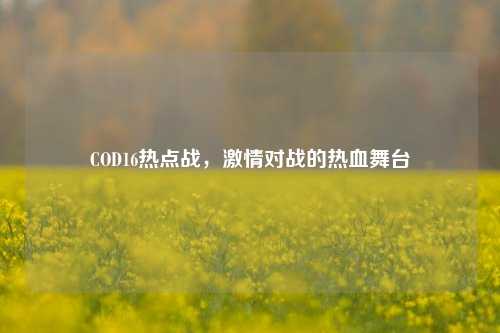 COD16热点战,激情对战的热血舞台
