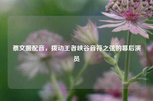 蔡文姬配音,拨动王者峡谷音符之弦的幕后演员