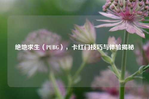 绝地求生(PUBG),卡红门技巧与体验揭秘