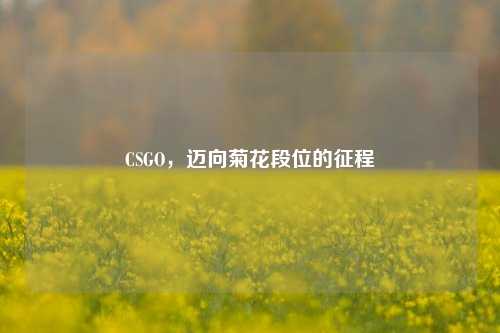 CSGO,迈向菊花段位的征程