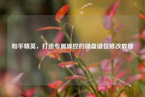 和平精英,打造专属操控的键盘键位修改教程