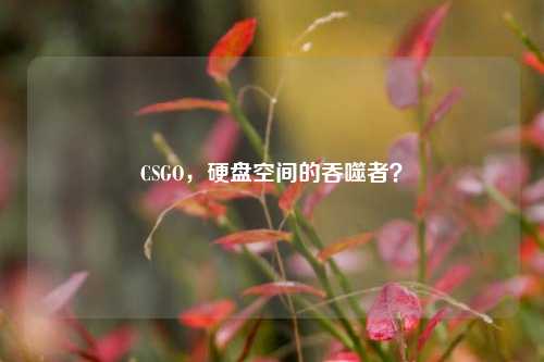 CSGO,硬盘空间的吞噬者?