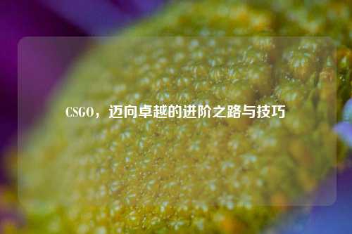 CSGO，迈向卓越的进阶之路与技巧