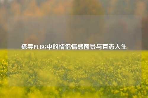 探寻PUBG中的情侣情感图景与百态人生