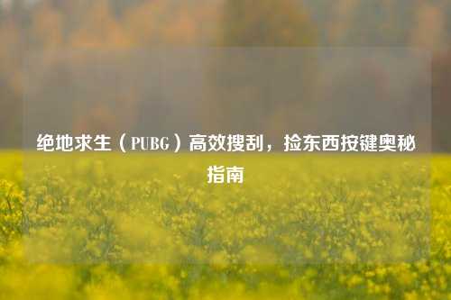 绝地求生(PUBG)高效搜刮,捡东西按键奥秘指南