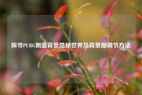 探寻PUBG侧面背景隐秘世界及背景图调节方法
