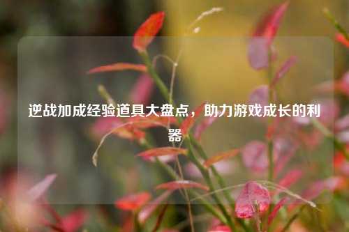逆战加成经验道具大盘点,助力游戏成长的利器