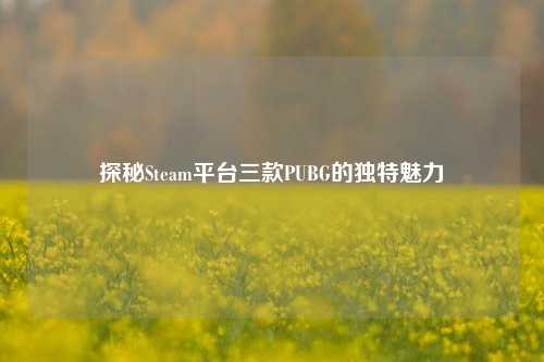 探秘Steam平台三款PUBG的独特魅力
