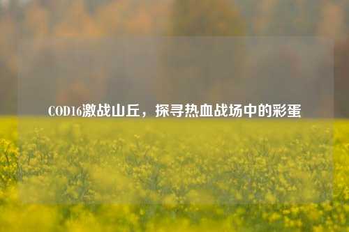 COD16激战山丘,探寻热血战场中的彩蛋