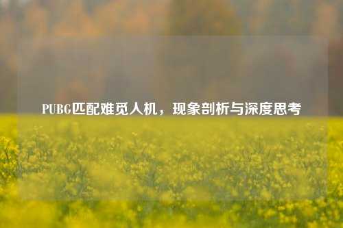 PUBG匹配难觅人机,现象剖析与深度思考