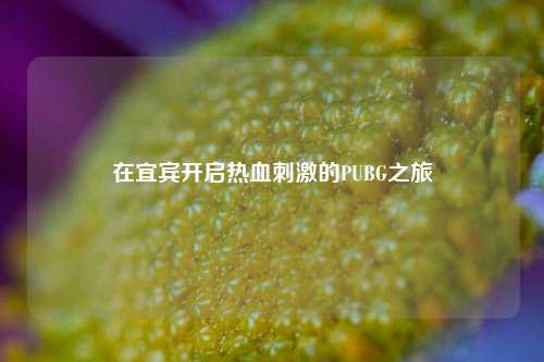 在宜宾开启热血刺激的PUBG之旅