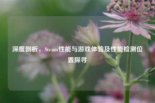 深度剖析,Steam性能与游戏体验及性能检测位置探寻