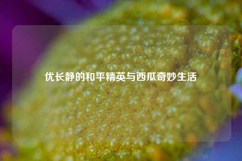 优长静的和平精英与西瓜奇妙生活