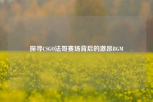 探寻CSGO法哥赛场背后的激昂BGM