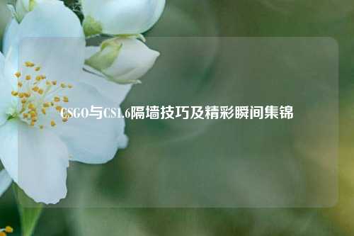 CSGO与CS1.6隔墙技巧及精彩瞬间集锦