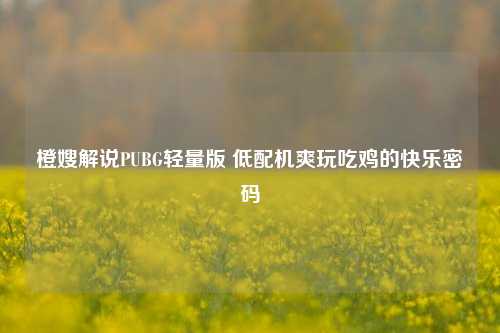 橙嫂解说PUBG轻量版 低配机爽玩吃鸡的快乐密码