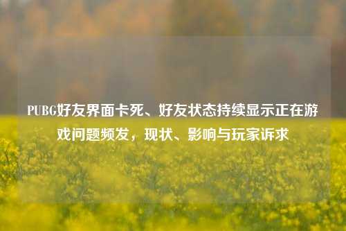 PUBG好友界面卡死、好友状态持续显示正在游戏问题频发，现状、影响与玩家诉求