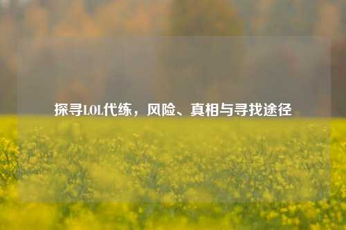 探寻LOL代练,风险、真相与寻找途径