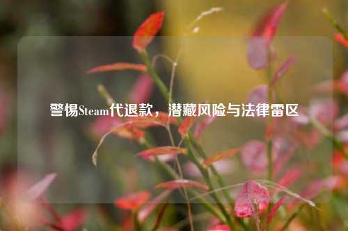 警惕Steam代退款,潜藏风险与法律雷区