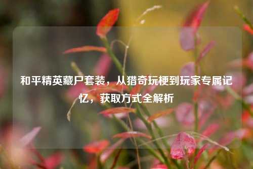 和平精英藏尸套装，从猎奇玩梗到玩家专属记忆，获取方式全解析
