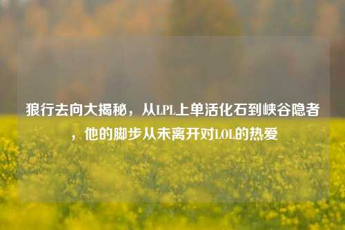狼行去向大揭秘，从LPL上单活化石到峡谷隐者，他的脚步从未离开对LOL的热爱