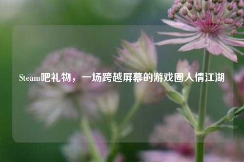 Steam吧礼物,一场跨越屏幕的游戏圈人情江湖