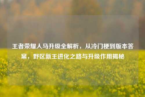 王者荣耀人马升级全解析,从冷门梗到版本答案,野区新王进化之路与升级作用揭秘