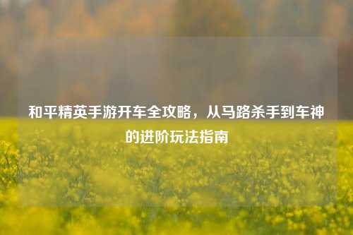 和平精英手游开车全攻略,从马路杀手到车神的进阶玩法指南