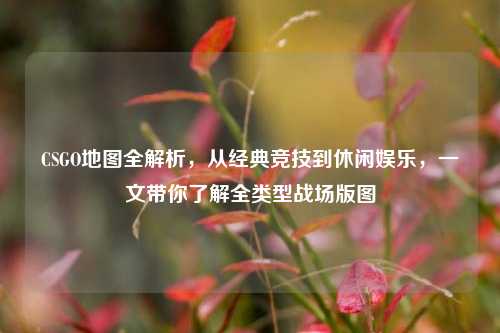 CSGO地图全解析,从经典竞技到休闲娱乐,一文带你了解全类型战场版图