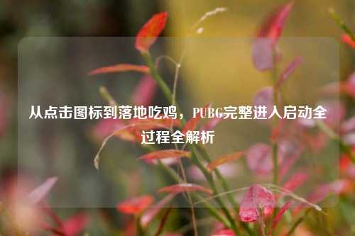 从点击图标到落地吃鸡,PUBG完整进入启动全过程全解析