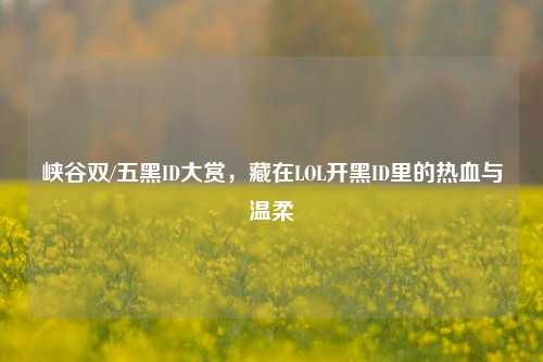 峡谷双/五黑ID大赏，藏在LOL开黑ID里的热血与温柔
