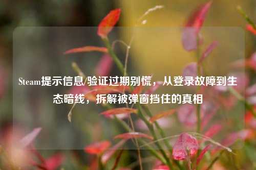 Steam提示信息/验证过期别慌,从登录故障到生态暗线,拆解被弹窗挡住的真相